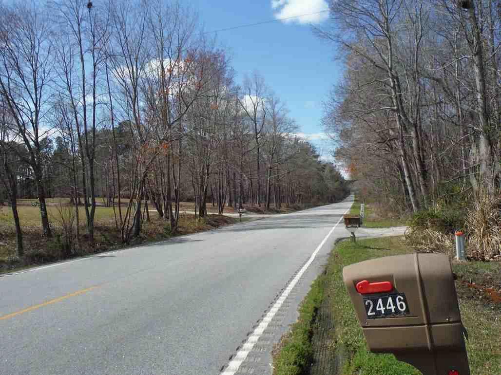 2446 Ridgeway Road Lugoff, SC 29078 - Photo 19 of 21 Road at Driveway