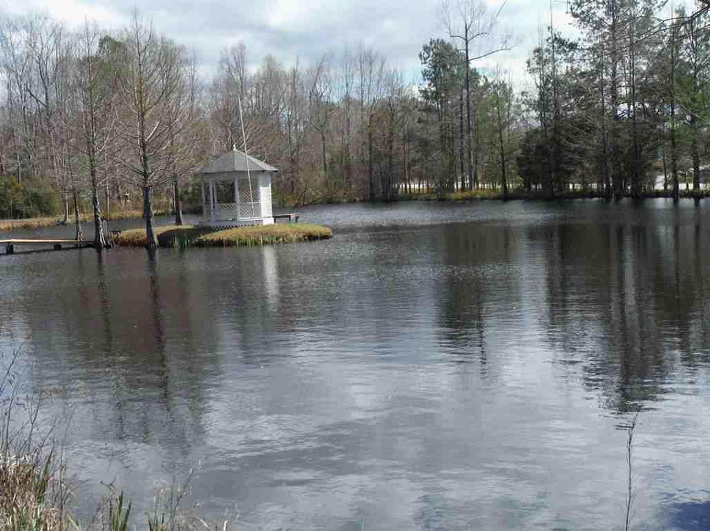 2446 Ridgeway Road Lugoff, SC 29078 - Photo 8 of 21 Pond