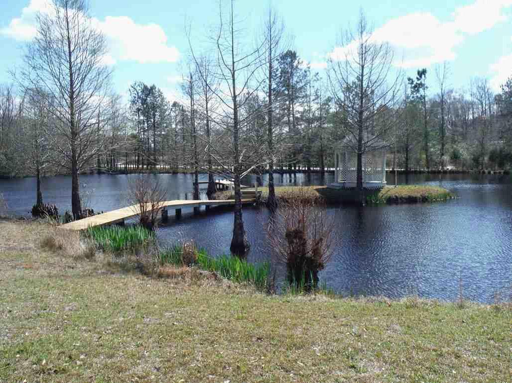 2446 Ridgeway Road Lugoff, SC 29078 - Photo 9 of 21 Pond, Gazebo, Island and bridge