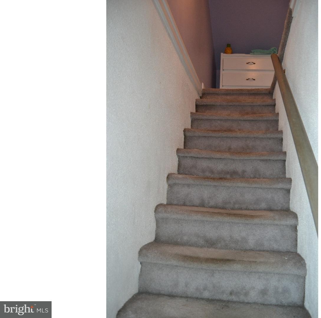 562 Wales Road Havertown, PA 19083 - Photo 19 of 24