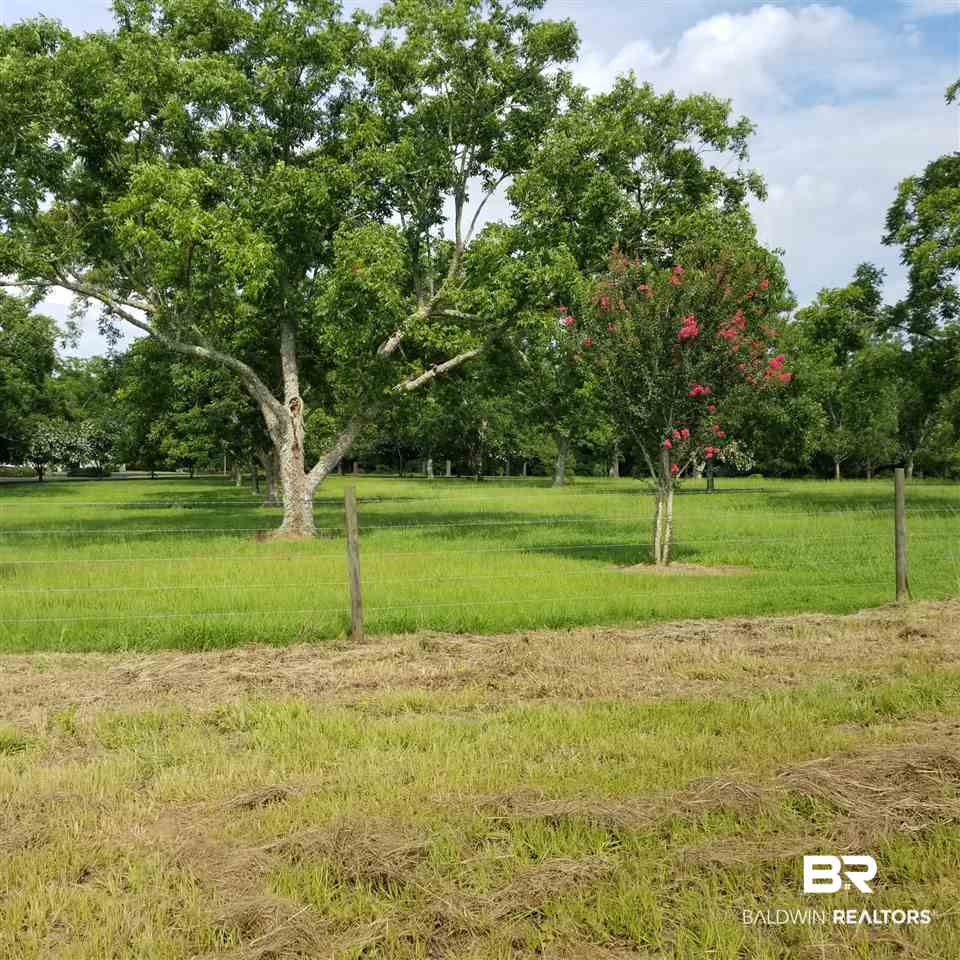 15560 Troon Drive Foley, AL 36535 - Photo 2 of 24 Back Yard View