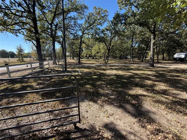 a park view with large trees
