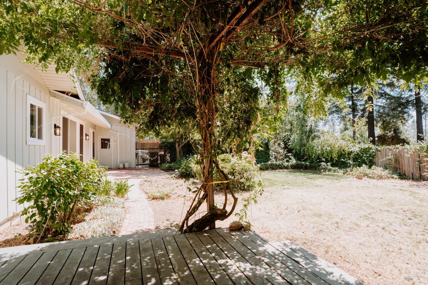 120 Cold Springs Road Angwin, CA 94508 - Photo 17 of 23 a view of a yard with chairs
