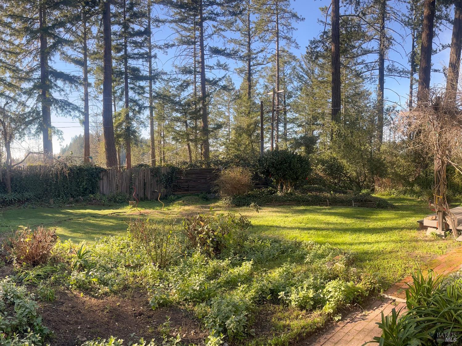 120 Cold Springs Road Angwin, CA 94508 - Photo 25 of 25 a view of a backyard with swimming pool