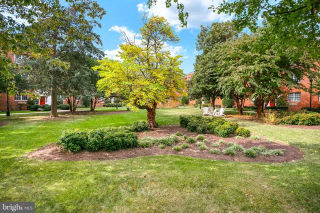 a cars parked on the side of a street