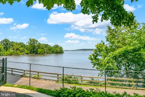 a view of a lake with boats and trees in the background