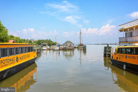 a view of a yard with plants and large trees