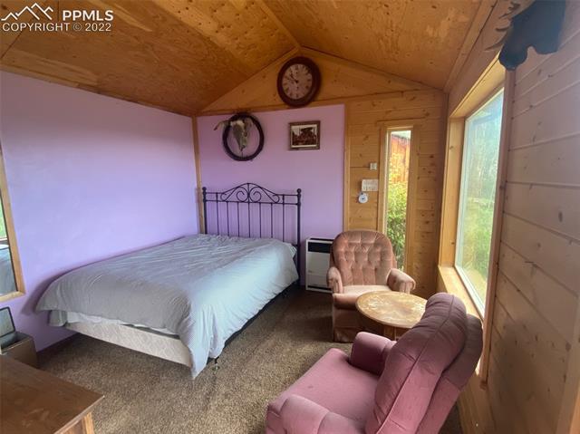 5665 County Road Victor, CO 80860 - Photo 25 of 40 Gallery Image 25