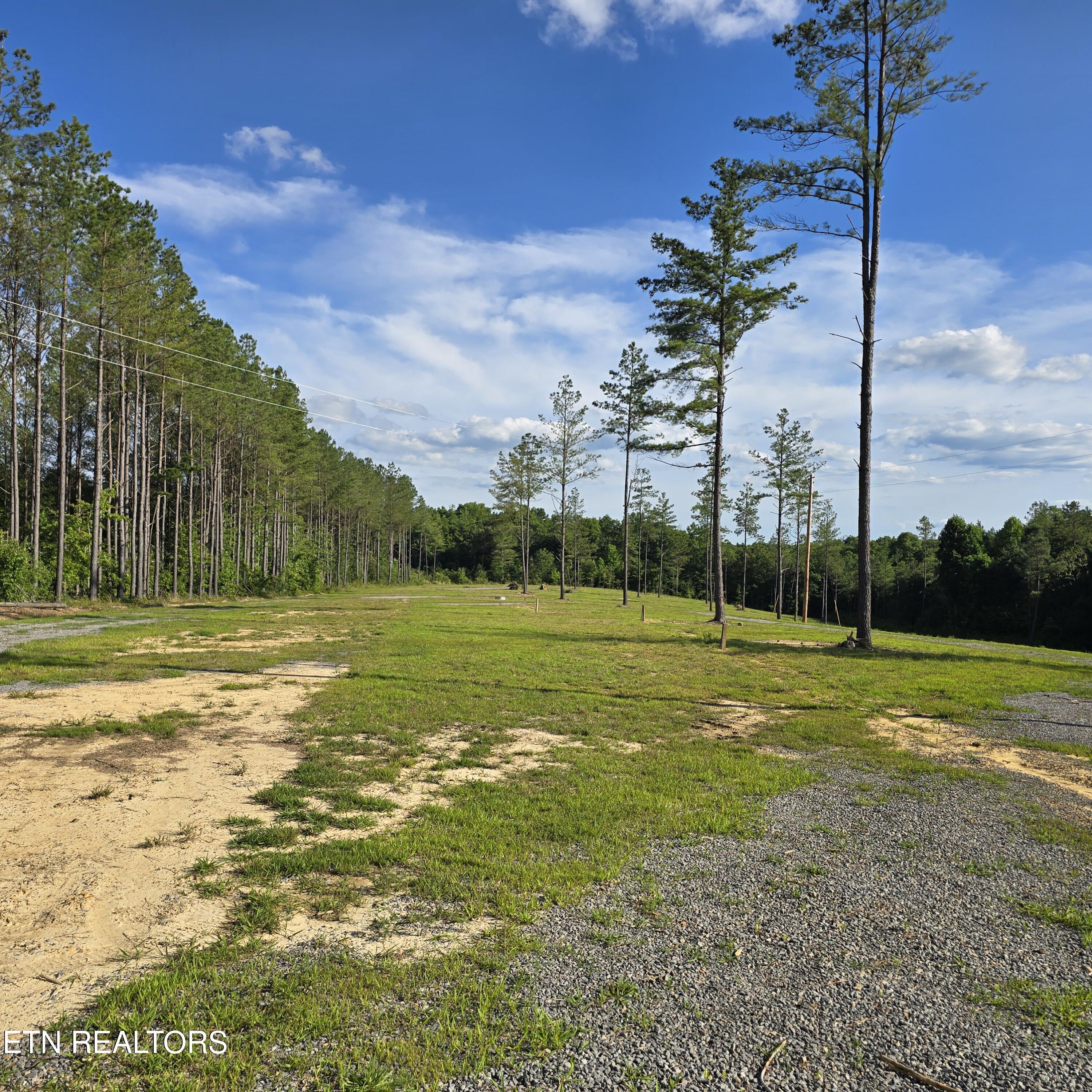 15-ac Red Hill Road Sunbright, TN 37872 - Photo 22 of 57 20260620_182201