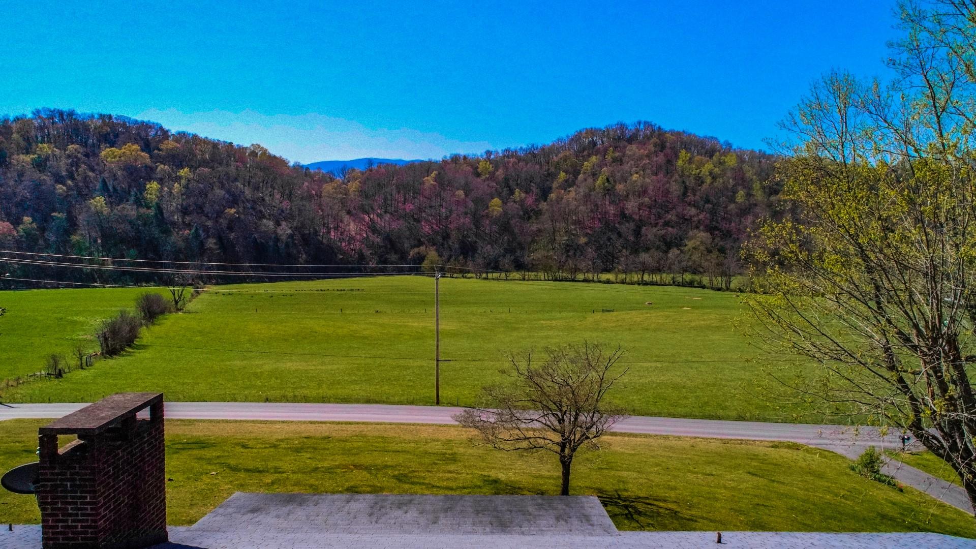 276 Lower Bogard Road Newport, TN 37821 - Photo 12 of 39 9.9