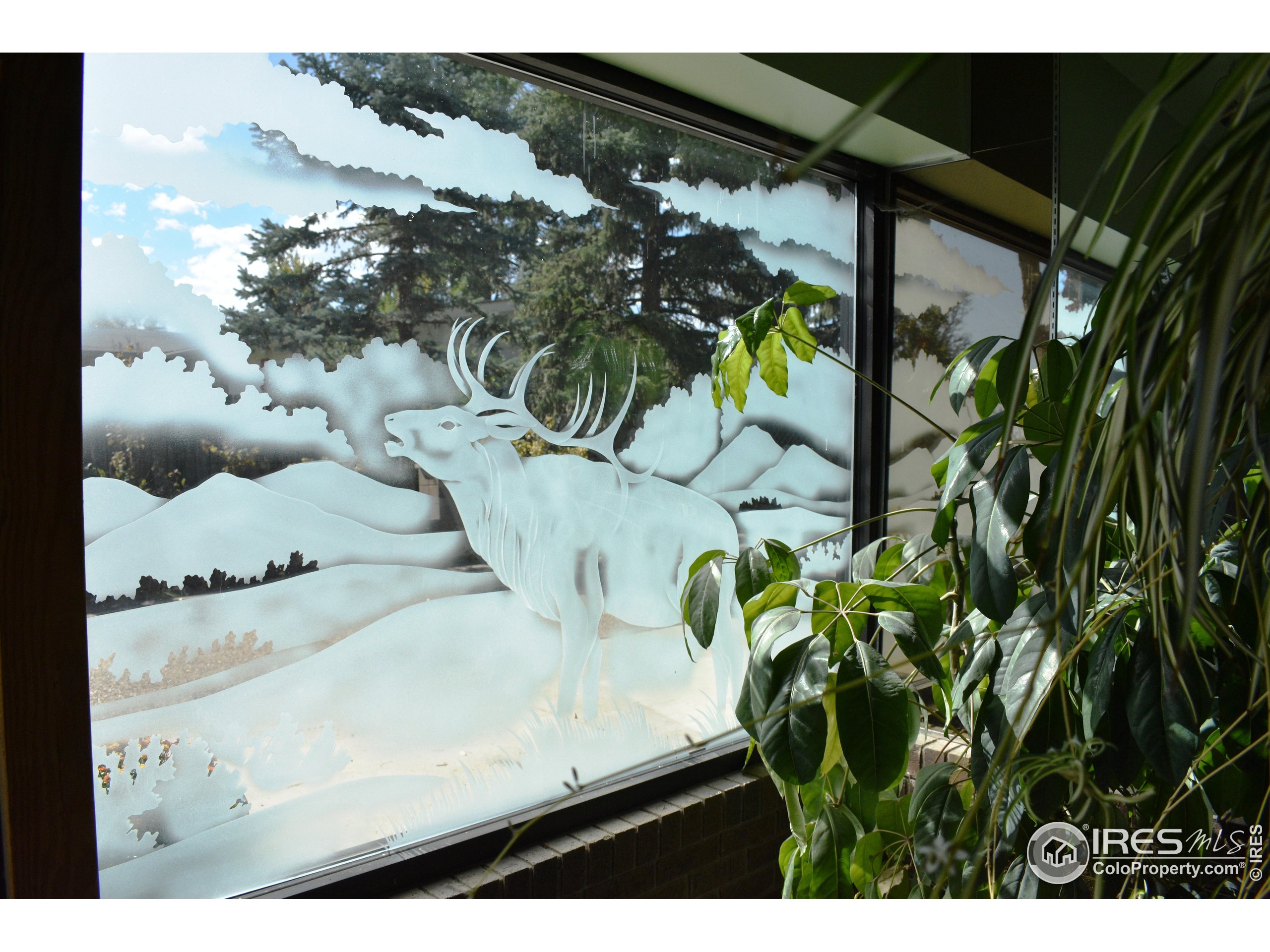 2801 Farview Drive Fort Collins, CO 80524 - Photo 35 of 40 a view of a painting of a tree