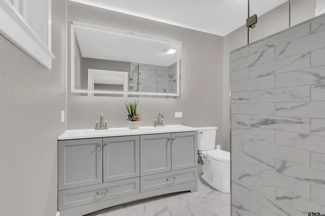 a bathroom with a sink and a toilet