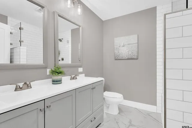 a bathroom with a sink a toilet and mirror