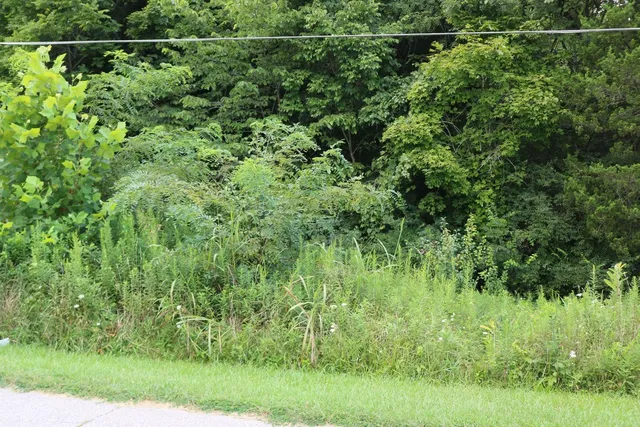 $24,900 | 0 Highridge Road, Aurora, IN 47001