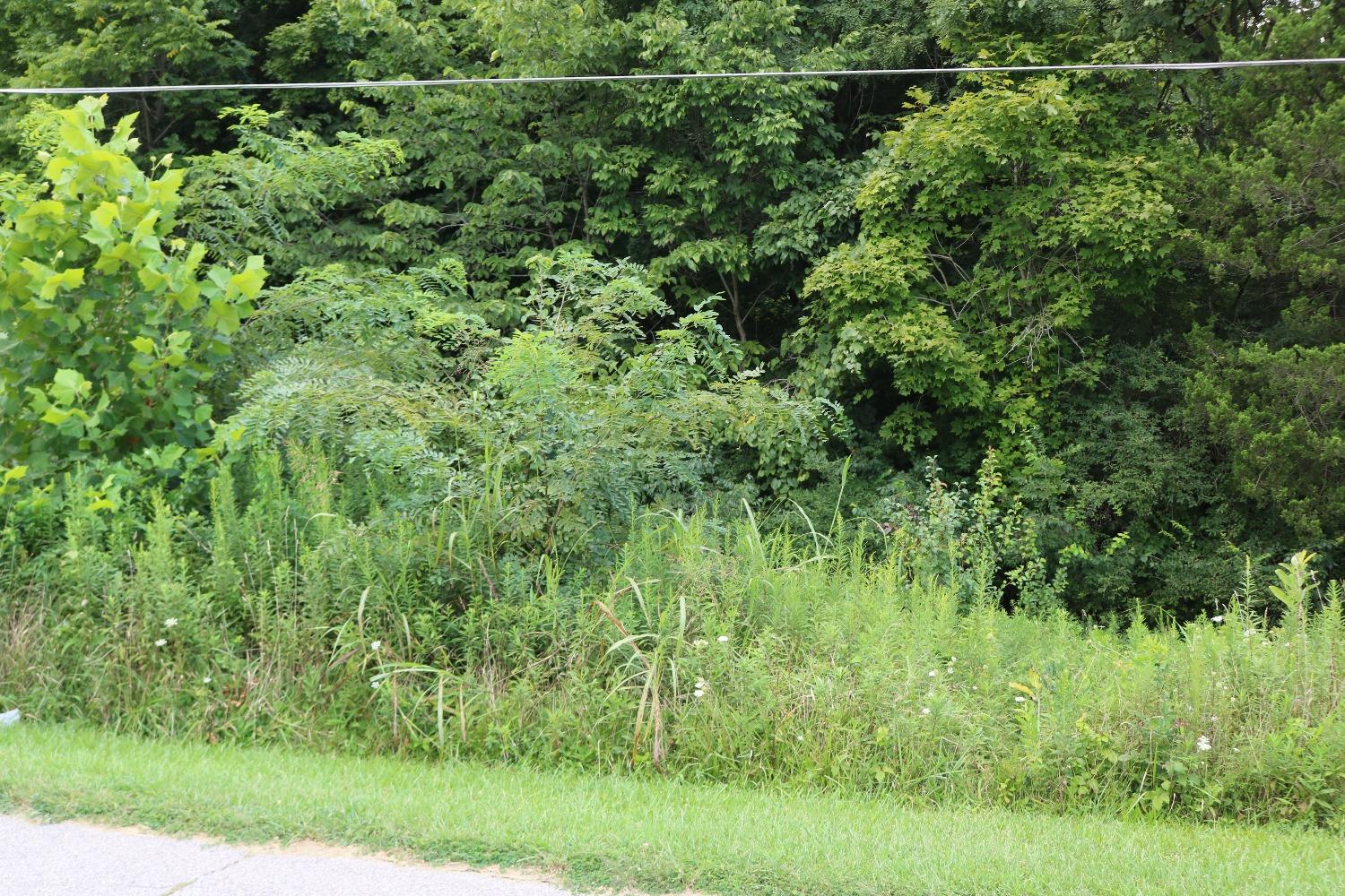 0 Highridge Road Aurora, IN 47001 - Photo 2 of 6