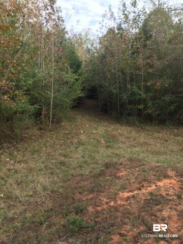 6102 Drewry Road Repton, AL 36475 - Photo 3 of 7