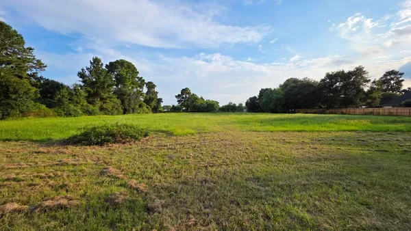 a view of a field with a big yard