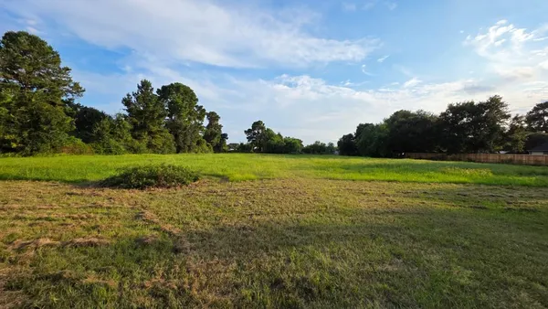 a view of a field with a big yard