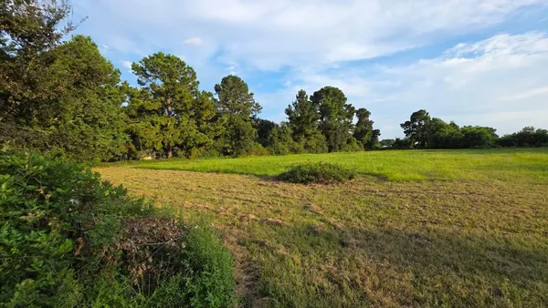 a view of a field with an trees