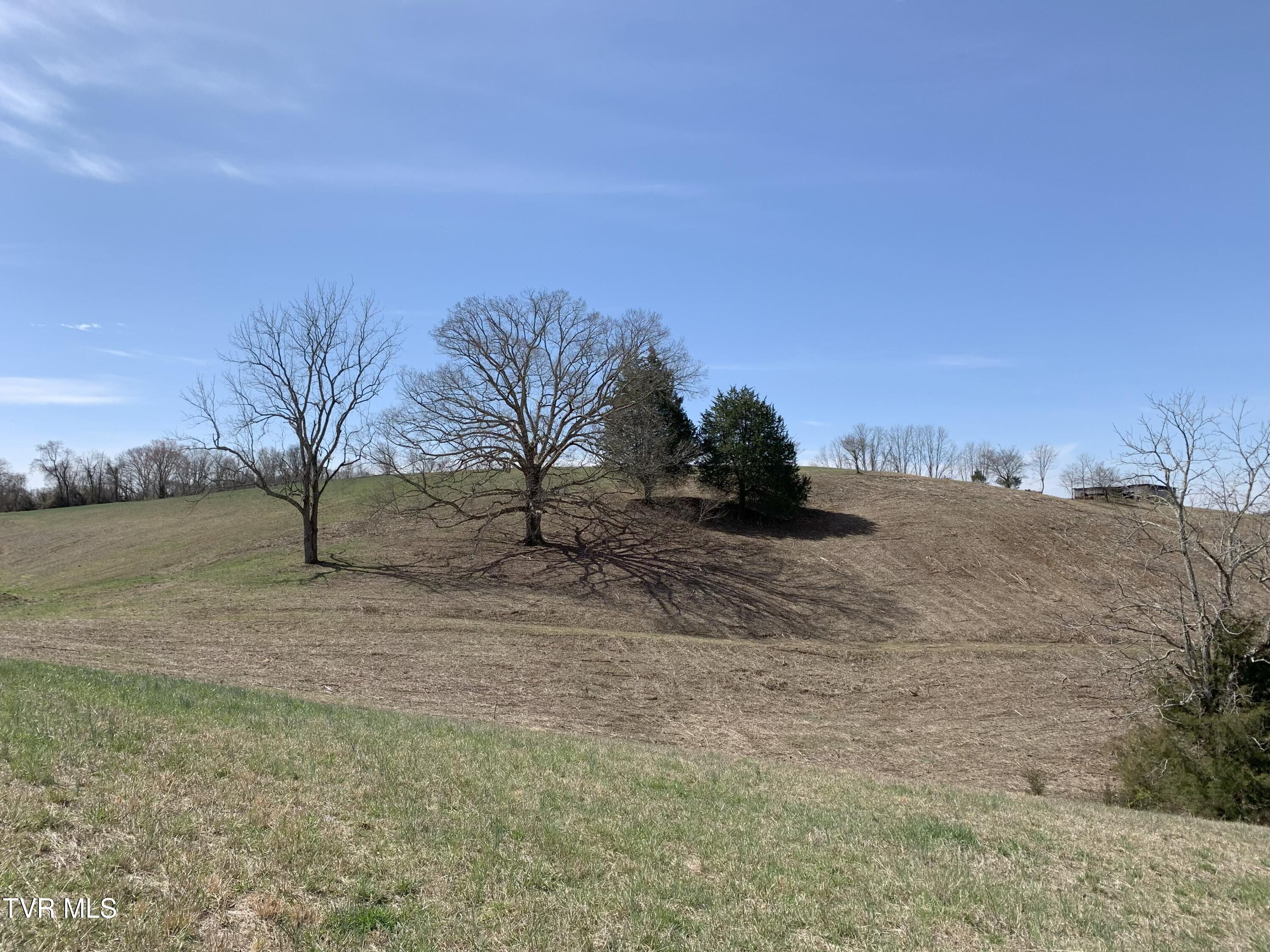 1704 Balls Chapel Road Rose Hill, VA 24281 - Photo 26 of 95 IMG_2117