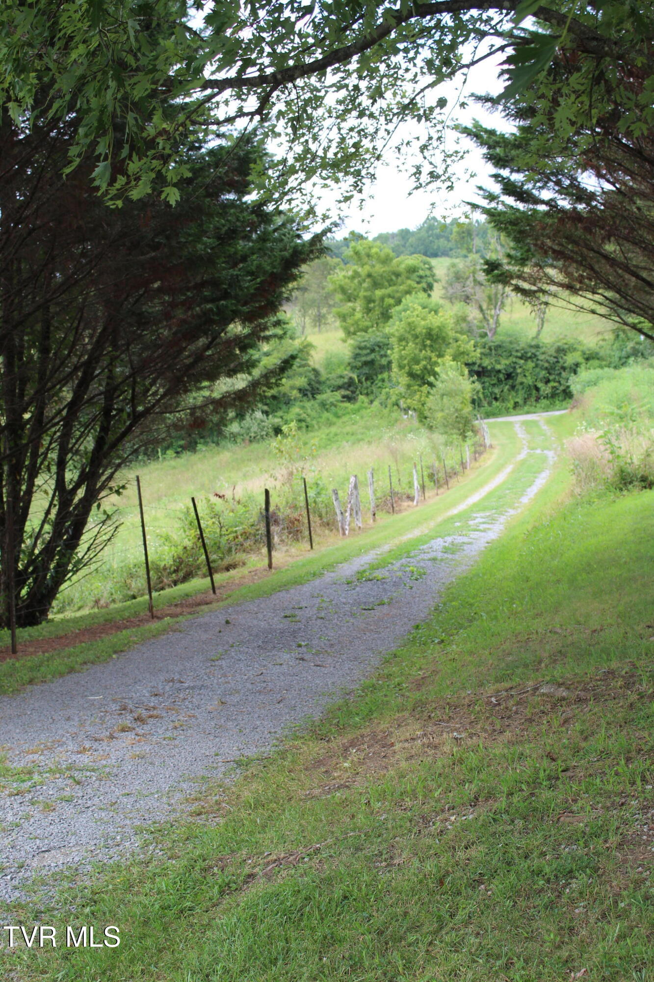 1704 Balls Chapel Road Rose Hill, VA 24281 - Photo 3 of 78 IMG_6054