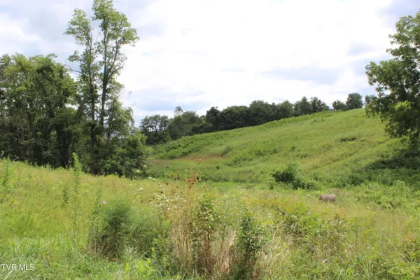 $399,500 | 1704 Balls Chapel Road, Rose Hill, VA 24281