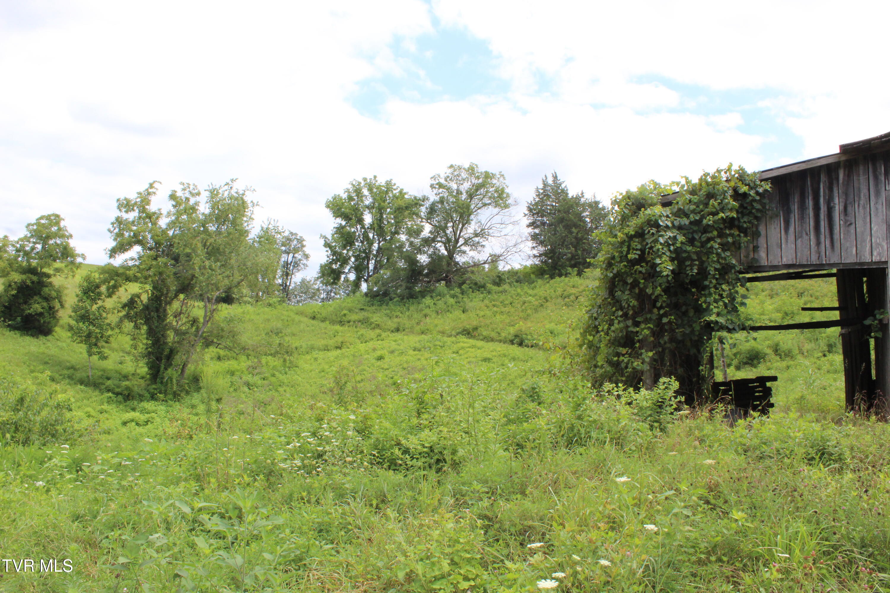 1704 Balls Chapel Road Rose Hill, VA 24281 - Photo 94 of 95 IMG_6019