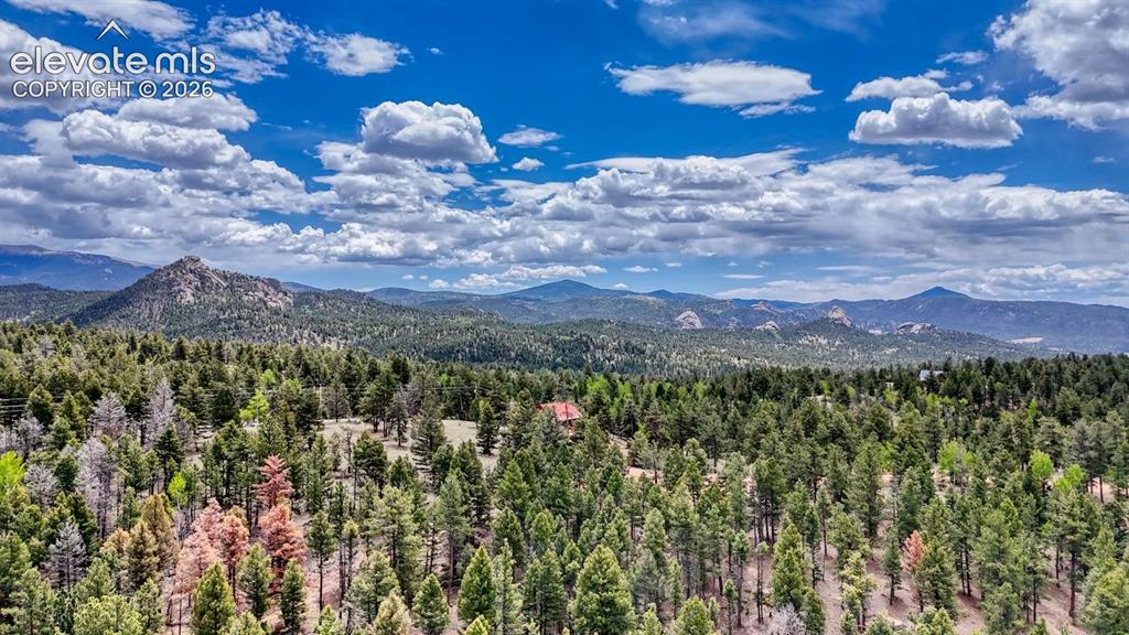 42 Rabbit Circle Florissant, CO 80816 - Photo 12 of 20 a view of a bunch of trees