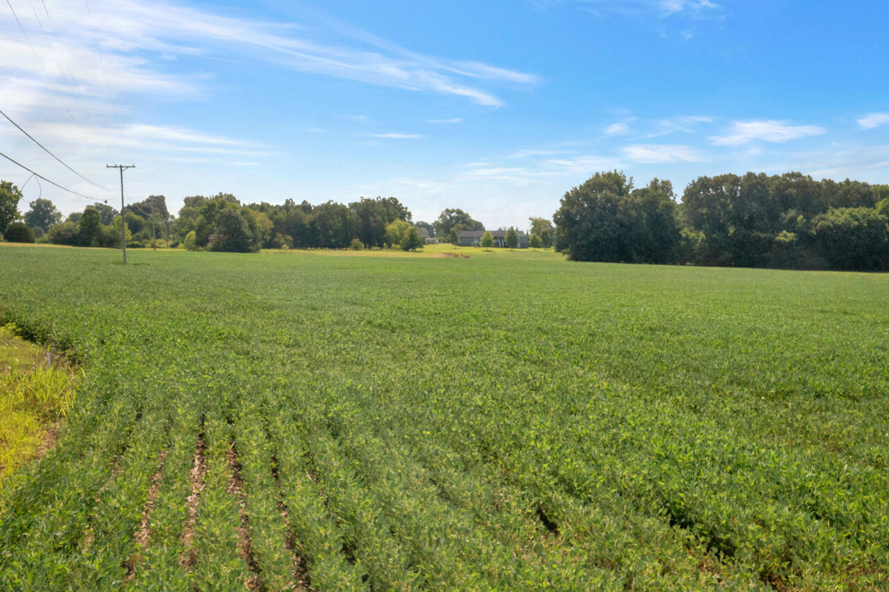 1363 Wiswell Road West Murray, KY 42071 - Photo 12 of 16 11-DJI-0631