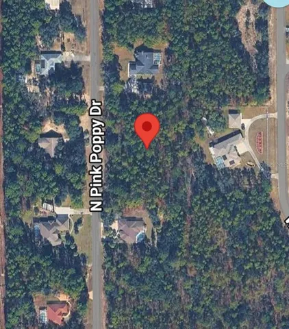 an aerial view of a house with a yard and large trees