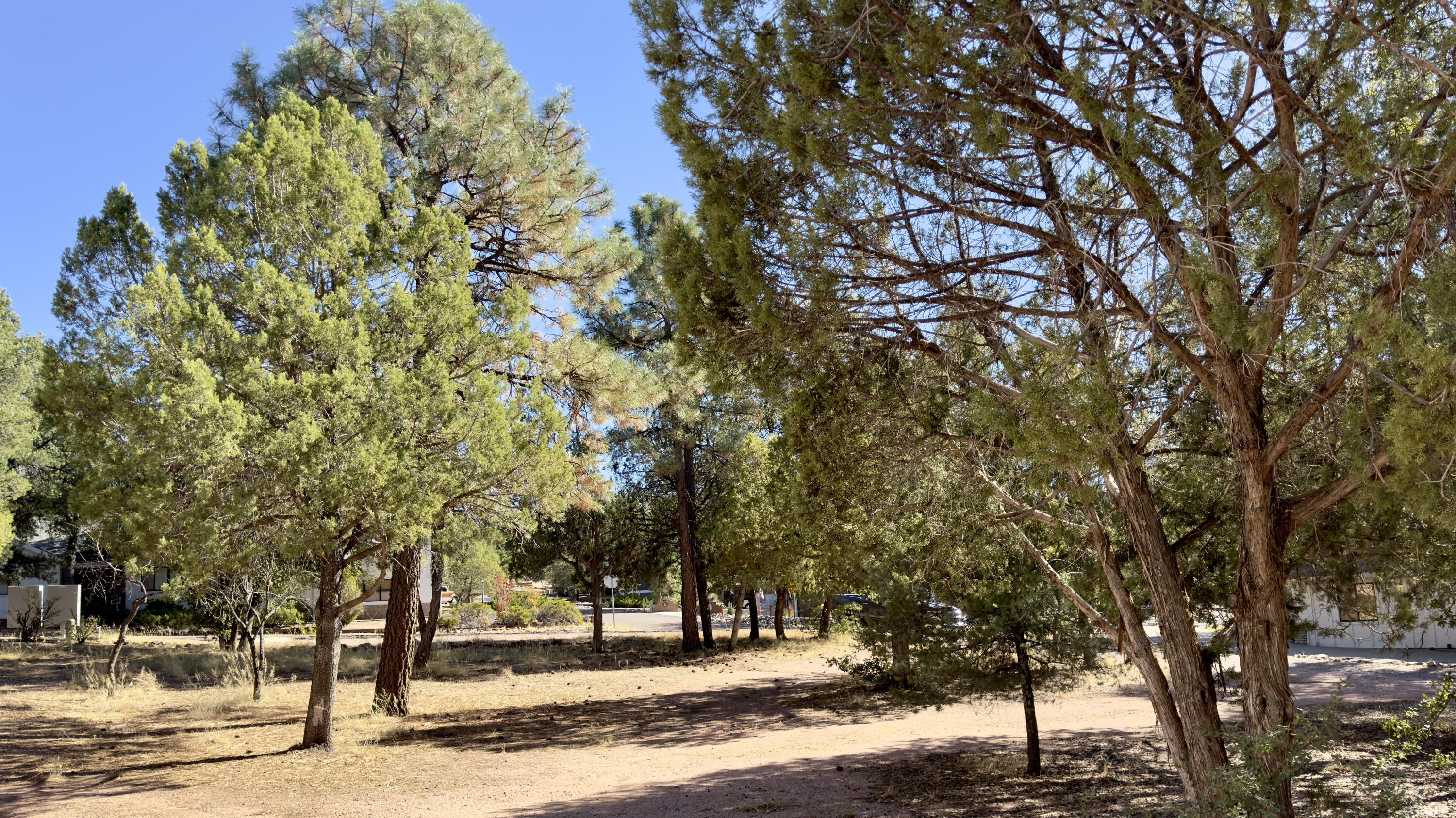 1428 North Easy Street Payson, AZ 85541 - Photo 10 of 12