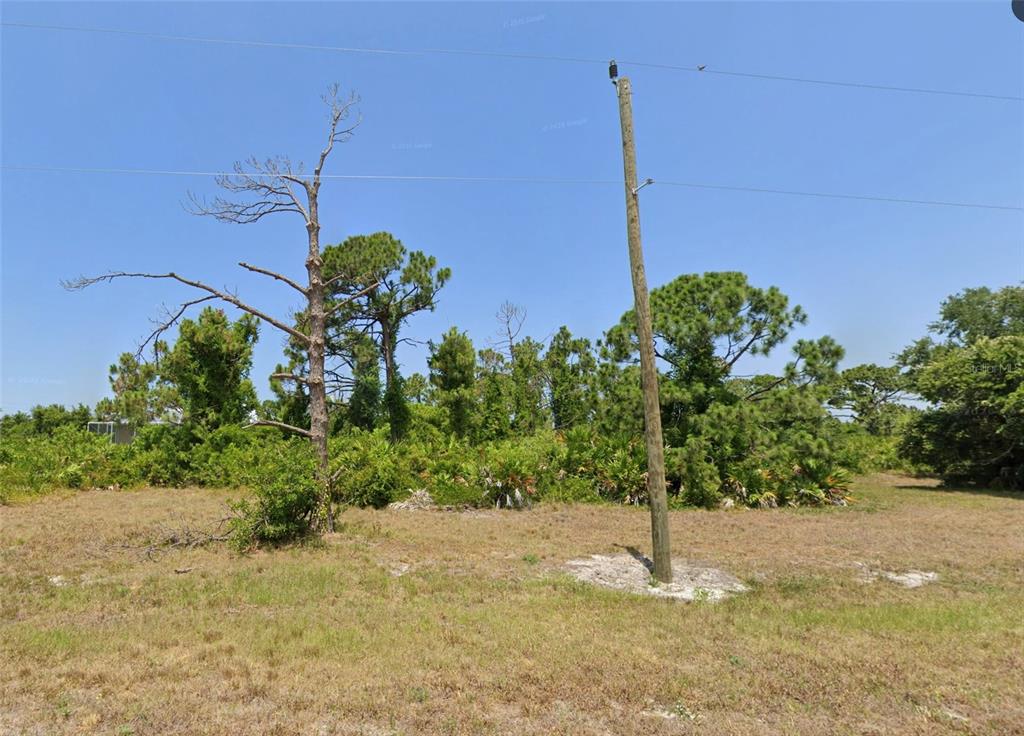 a view of a yard with plants