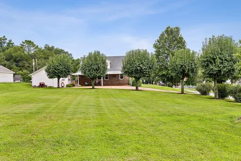 a view of green field