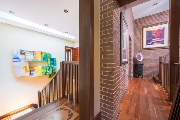 a view of a yard with plants and large trees