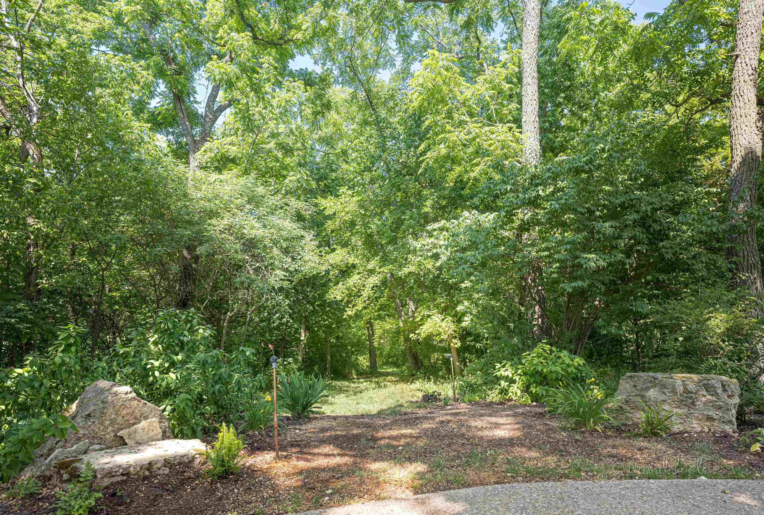 49 High Ridge Run Galena, IL 61036 - Photo 68 of 81 a view of a yard with plants and large trees