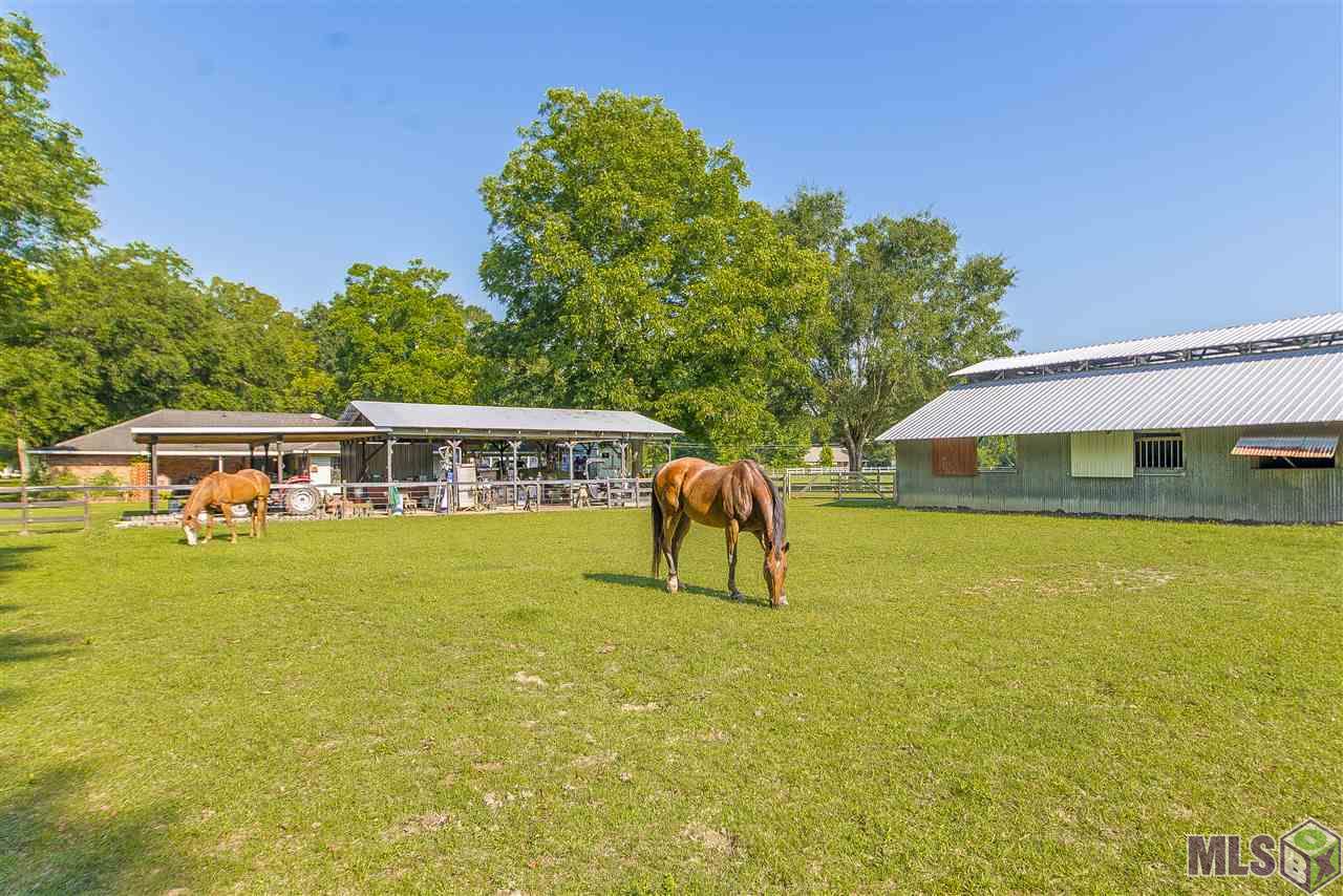 7072 Wayne Floyd Road Gonzales, LA 70737 - Photo 12 of 20 Gallery Image 12