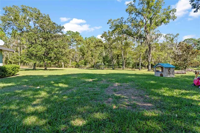 a view of a park with large trees