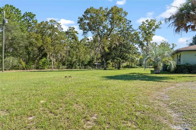 a view of a green field