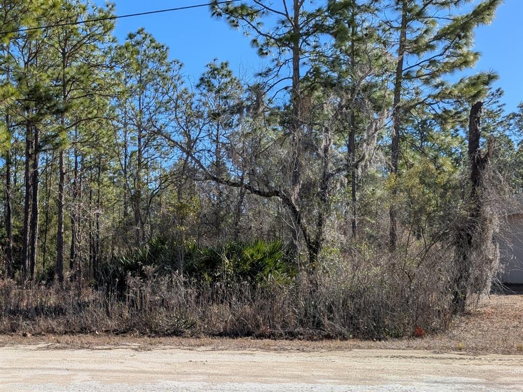 15252 Coot Road Brooksville, FL 34614 - Photo 2 of 6