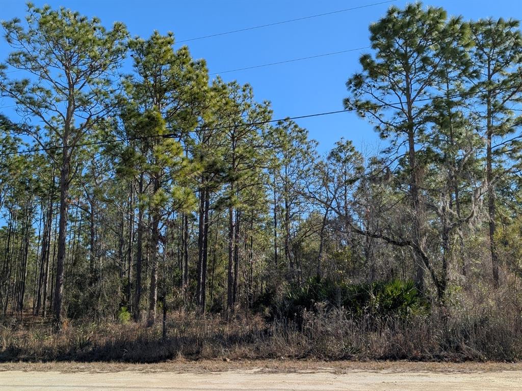 15252 Coot Road Brooksville, FL 34614 - Photo 4 of 6