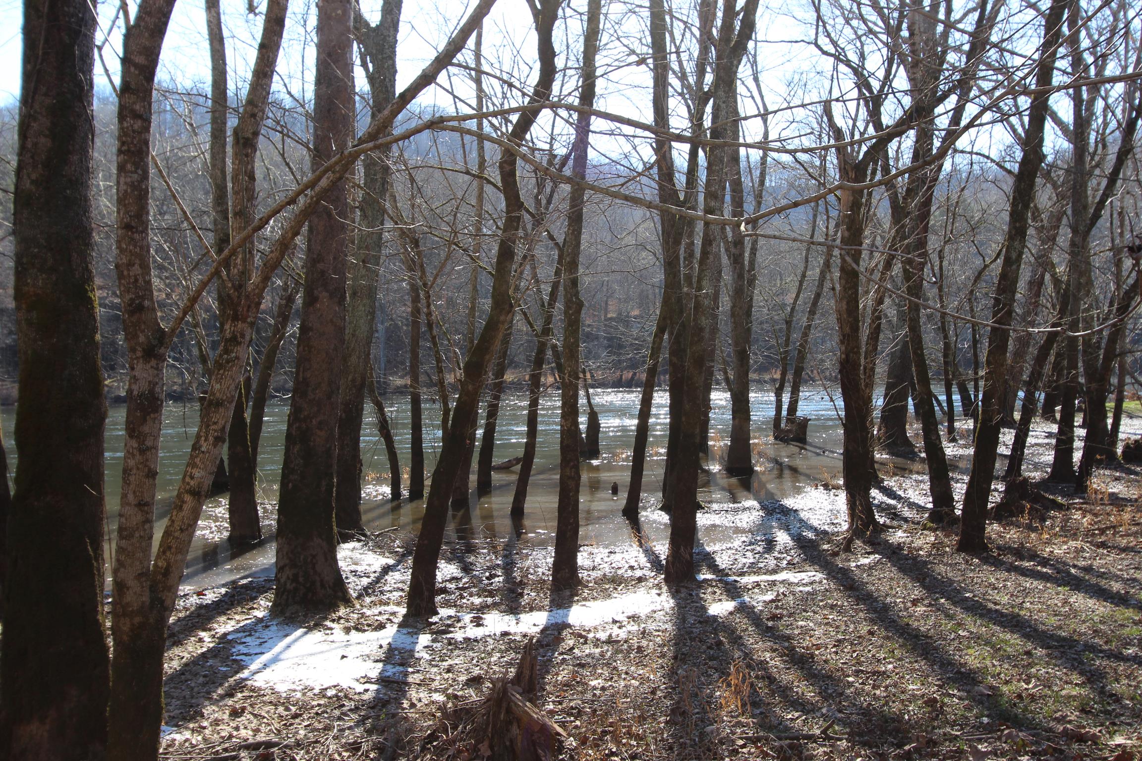 4 Judd Road Lancaster, TN 38569 - Photo 13 of 14 Gallery Image 13