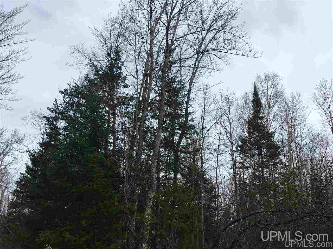 40-acres Off Cadeau Road Baraga, MI 49908 - Photo 3 of 19
