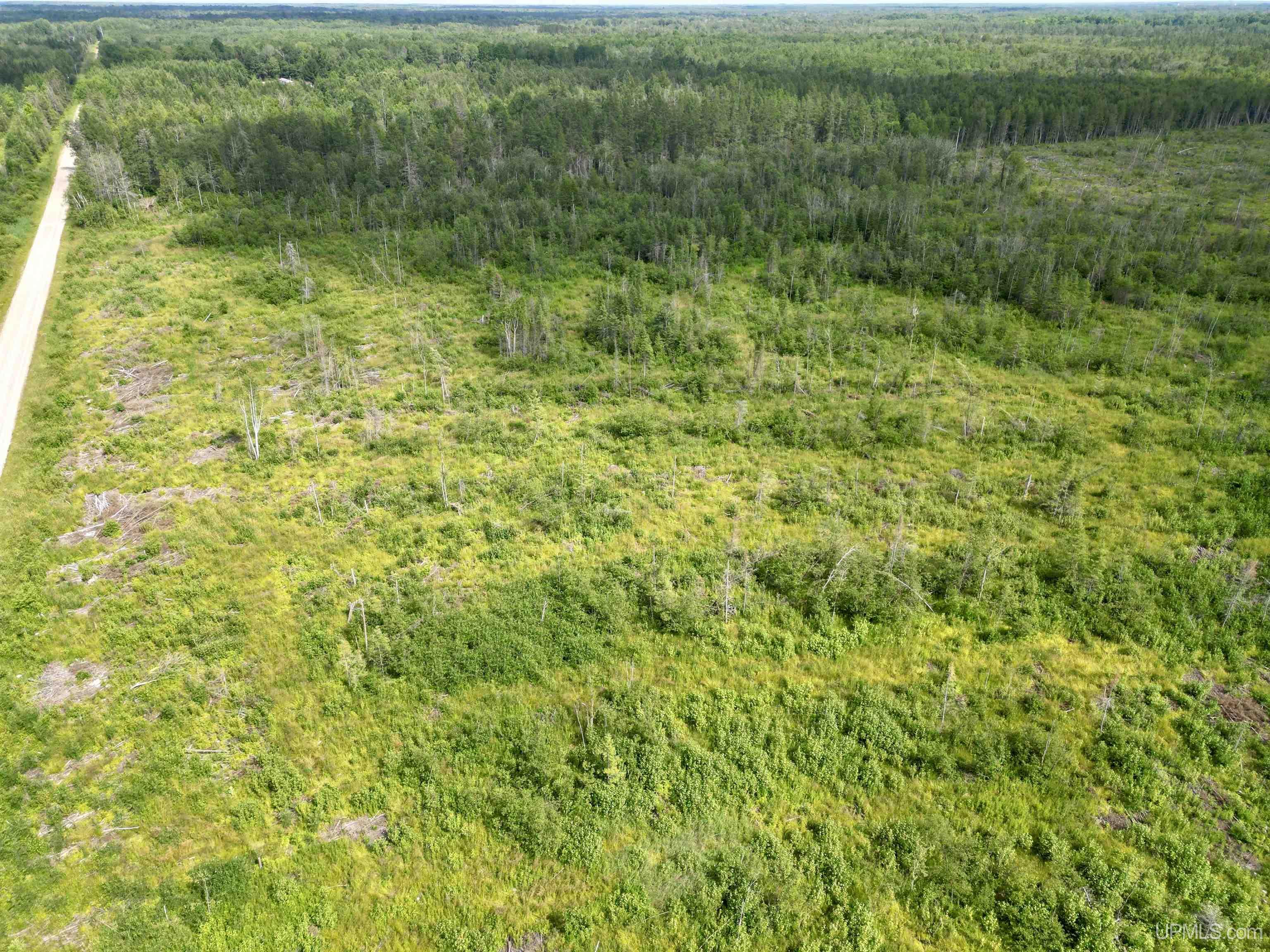 Tbd Holly Road Rock, MI 49880 - Photo 4 of 6