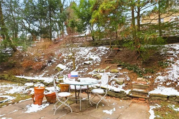 a view of yard