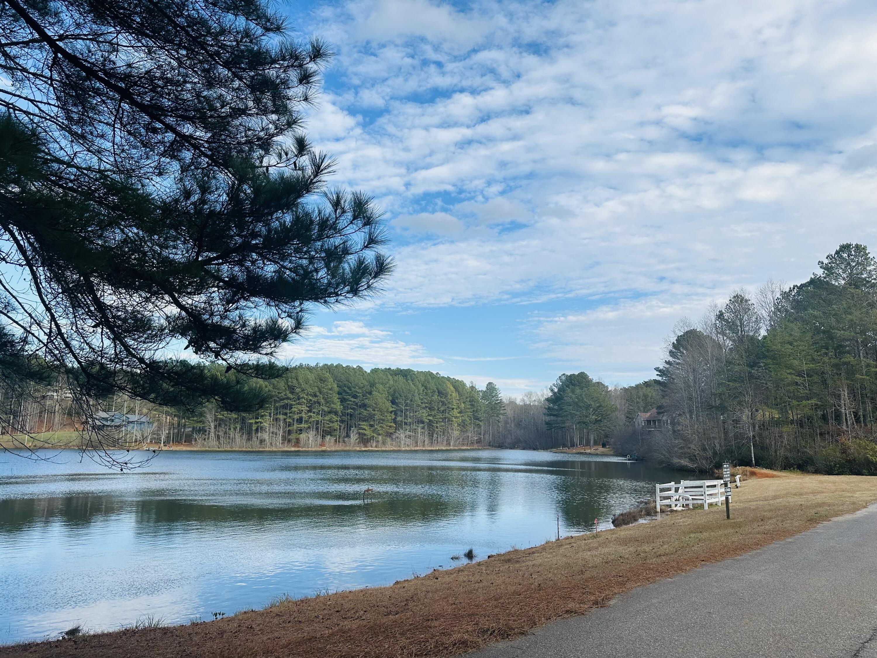 366 Barker Trail Road Cleveland, GA 30528 - Photo 108 of 114 VIEW FROM DOWN THE ROAD