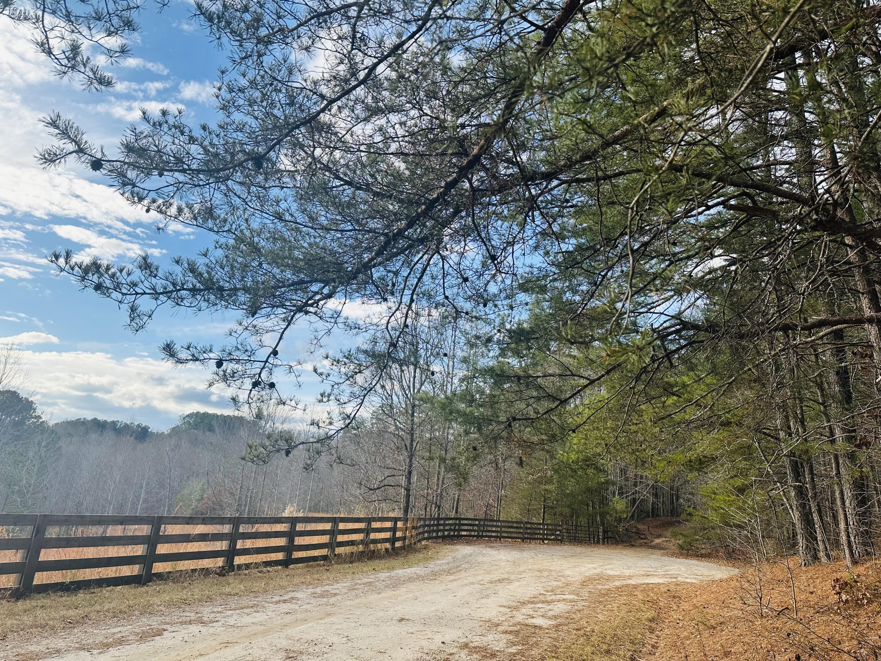 366 Barker Trail Road Cleveland, GA 30528 - Photo 109 of 114 ENTRANCE TO THE NATIONAL FOREST