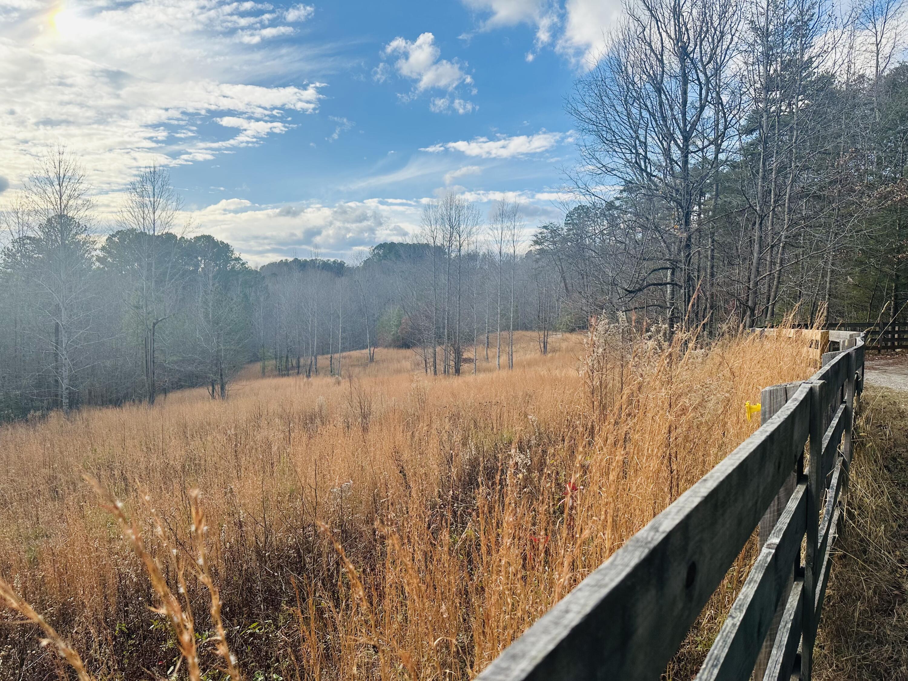 366 Barker Trail Road Cleveland, GA 30528 - Photo 112 of 114 SCENIC VIEWS