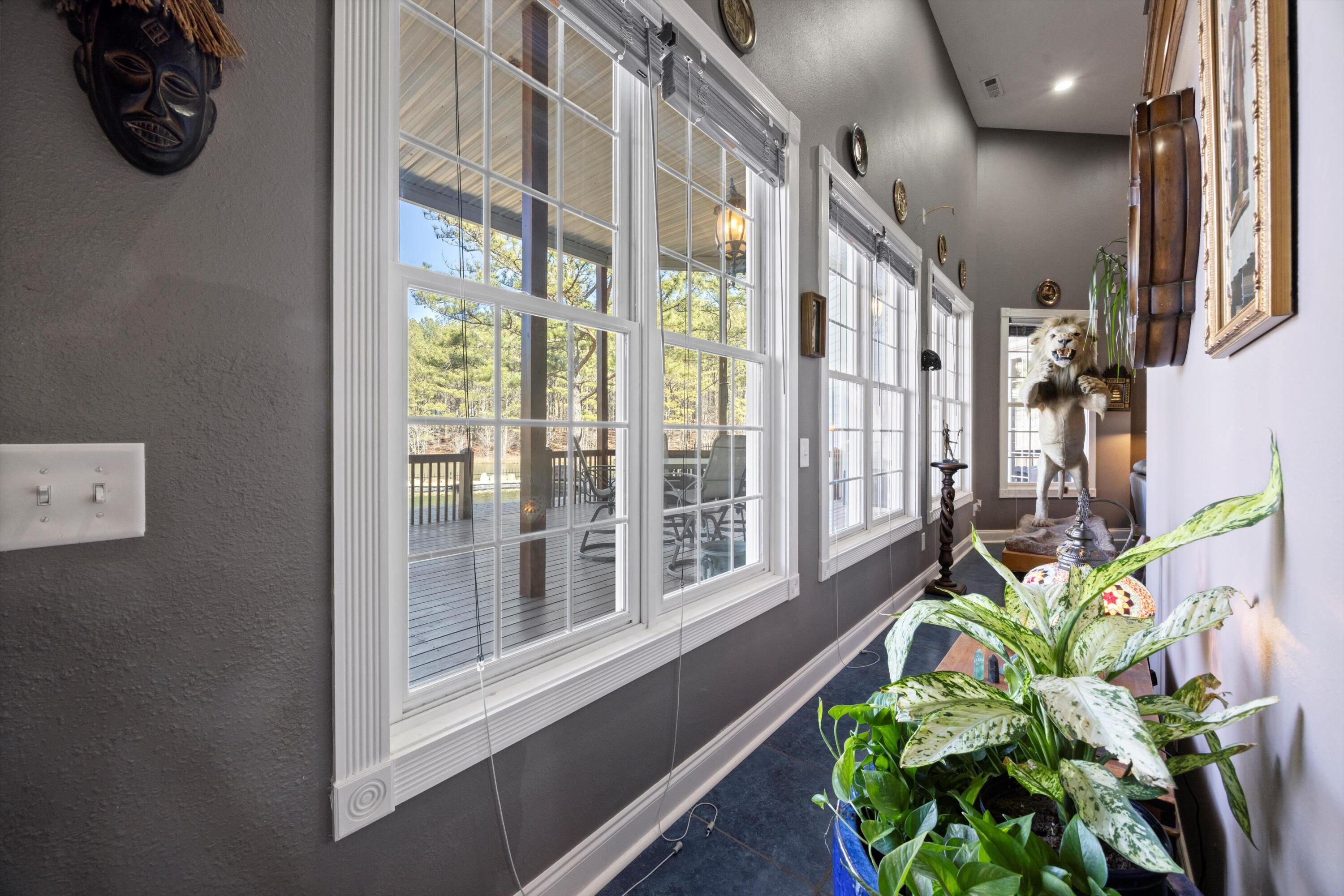 366 Barker Trail Road Cleveland, GA 30528 - Photo 72 of 109 LOWER LEVEL WITH LOTS OF WINDOWS