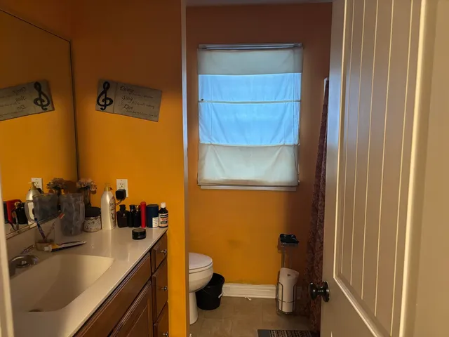 a bathroom with a sink and a toilet