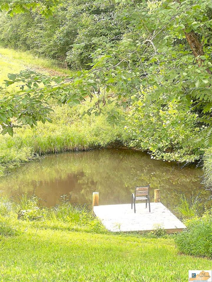 3192 Greenbriar Road Breeding, KY 42715 - Photo 64 of 81 Gallery Image 64